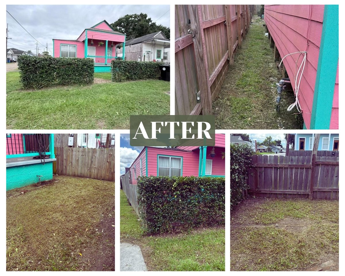 An after collage of the same yard: cut lawn, tidy hedges and a cleared side passage along the fence.